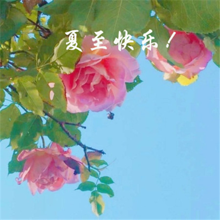 夏至快乐风景图片大全带字_2019最新夏至微信朋友圈
