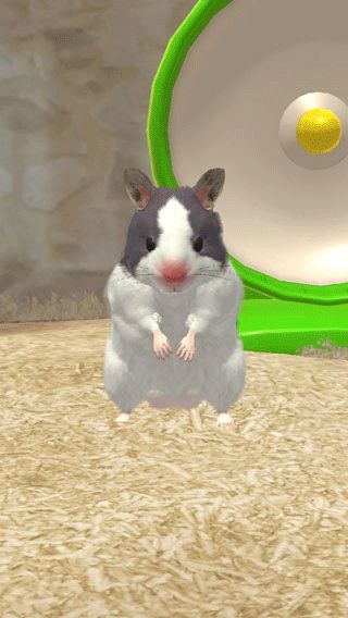 我的仓鼠官方正版_wishdown.com 我的仓鼠官方正版_wishdown.com