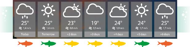 俄罗斯钓鱼4手游移植版_wishdown.com 俄罗斯钓鱼4手游移植版_wishdown.com