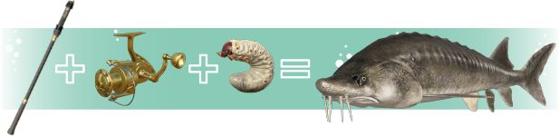 俄罗斯钓鱼4手游移植版_wishdown.com 俄罗斯钓鱼4手游移植版_wishdown.com