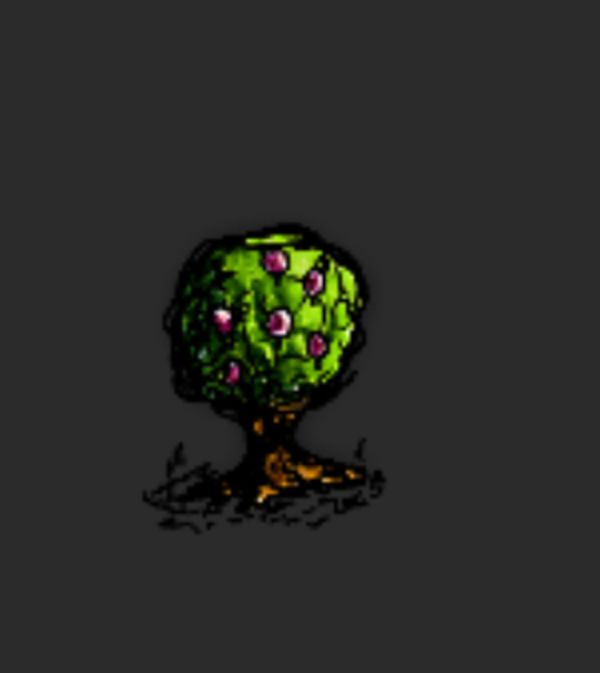 希望之村2025最新版_wishdown.com 希望之村2025最新版_wishdown.com