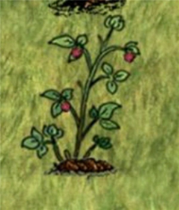 希望之村2025最新版_wishdown.com 希望之村2025最新版_wishdown.com