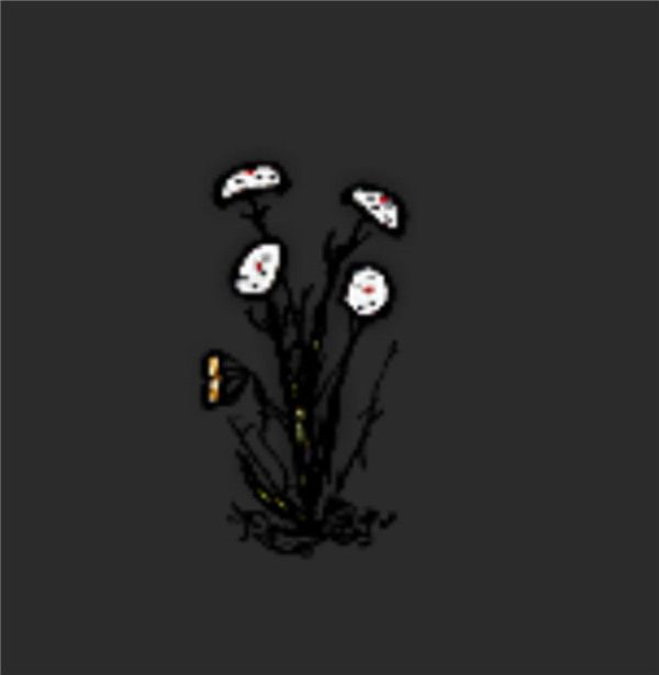 希望之村2025最新版_wishdown.com 希望之村2025最新版_wishdown.com