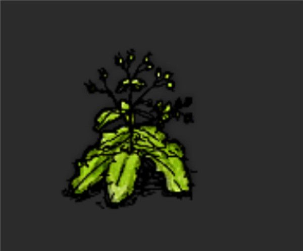 希望之村2025最新版_wishdown.com 希望之村2025最新版_wishdown.com