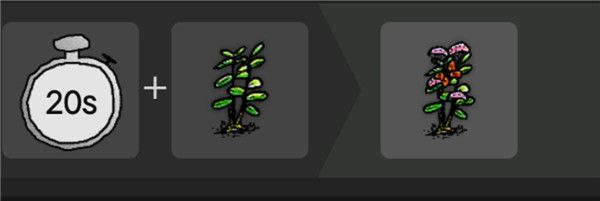 希望之村2025最新版_wishdown.com 希望之村2025最新版_wishdown.com