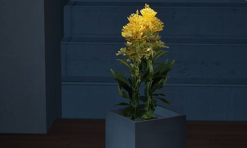 狼伴侣恐怖狼人游戏官方正版_wishdown.com 狼伴侣恐怖狼人游戏官方正版_wishdown.com