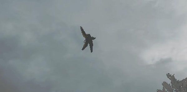 致命公司手游最新版_wishdown.com 致命公司手游最新版_wishdown.com