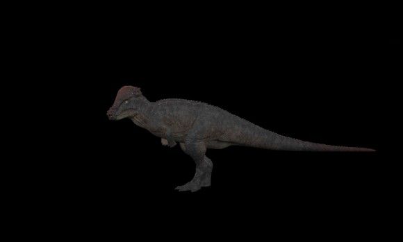 恐龙岛The Isle官方正版_wishdown.com 恐龙岛The Isle官方正版_wishdown.com