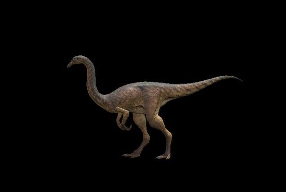 恐龙岛The Isle官方正版_wishdown.com 恐龙岛The Isle官方正版_wishdown.com