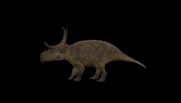 恐龙岛The Isle官方正版_wishdown.com 恐龙岛The Isle官方正版_wishdown.com