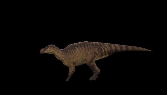 恐龙岛The Isle官方正版_wishdown.com 恐龙岛The Isle官方正版_wishdown.com