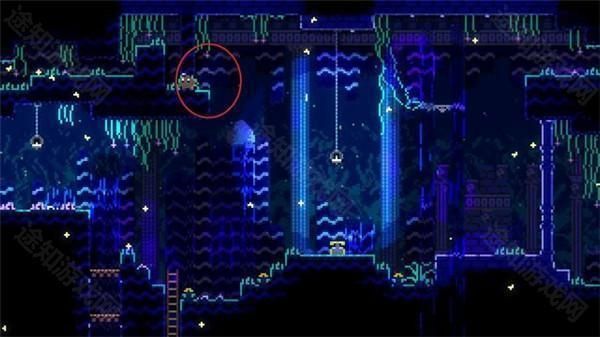 动物井手游免费版_wishdown.com 动物井手游免费版_wishdown.com