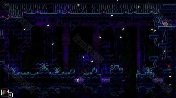 动物井手游免费版_wishdown.com 动物井手游免费版_wishdown.com