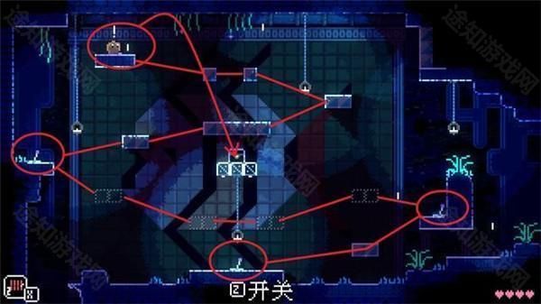 动物井手游免费版_wishdown.com 动物井手游免费版_wishdown.com