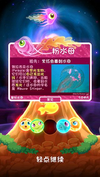 超级星鱼最新官方版_wishdown.com 超级星鱼最新官方版_wishdown.com