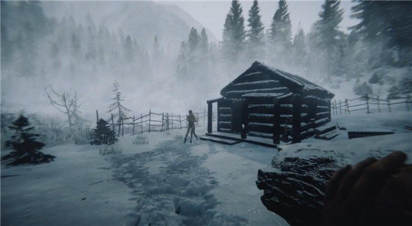 森林之子 Sons Of The Forest 支持联机_wishdown.com 森林之子 Sons Of The Forest 支持联机_wishdown.com