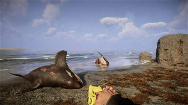 森林之子 Sons Of The Forest 支持联机_wishdown.com 森林之子 Sons Of The Forest 支持联机_wishdown.com