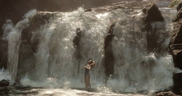 森林之子手机移植版_wishdown.com 森林之子手机移植版_wishdown.com