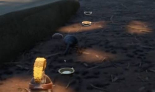 禁闭求生手机版_wishdown.com 禁闭求生手机版_wishdown.com