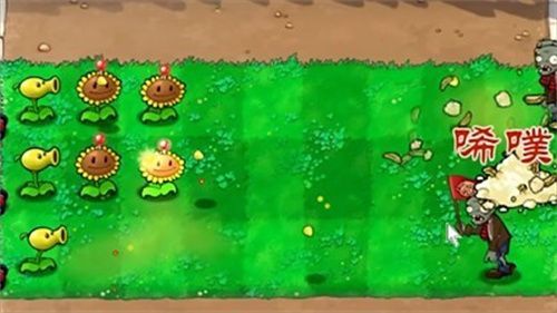 植物大战僵尸废物版官方正版_wishdown.com 植物大战僵尸废物版官方正版_wishdown.com