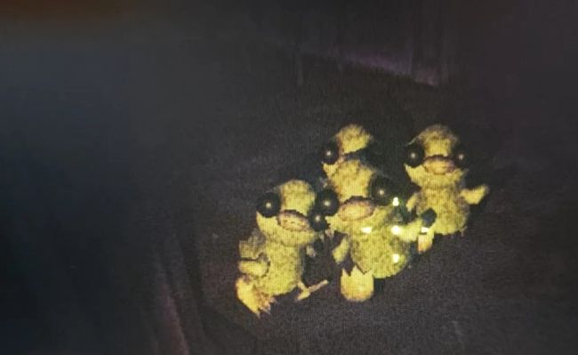 R.E.P.O.手机正版_wishdown.com R.E.P.O.手机正版_wishdown.com