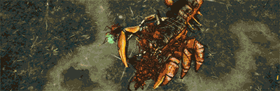 地下蚁国最新版_wishdown.com 地下蚁国最新版_wishdown.com