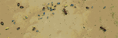 地下蚁国最新版_wishdown.com 地下蚁国最新版_wishdown.com