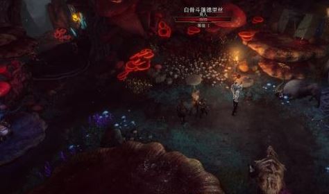 博德之门3游戏直装版_wishdown.com 博德之门3游戏直装版_wishdown.com