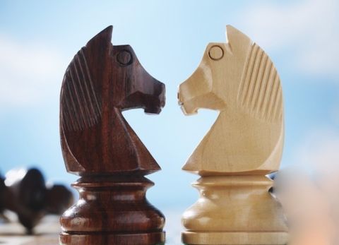 国际象棋单机版中文版_wishdown.com 国际象棋单机版中文版_wishdown.com