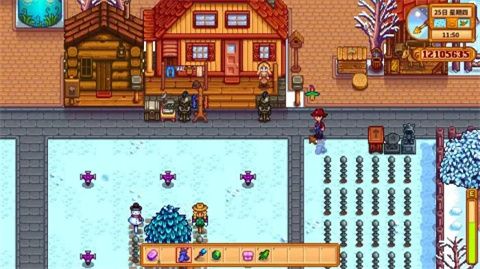 星露谷物语Stardew_wishdown.com 星露谷物语Stardew_wishdown.com