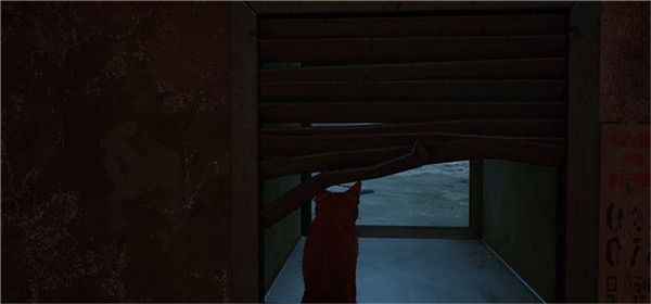 赛博猫迷失2025最新版_wishdown.com 赛博猫迷失2025最新版_wishdown.com