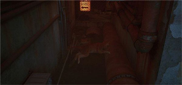 赛博猫迷失2025最新版_wishdown.com 赛博猫迷失2025最新版_wishdown.com