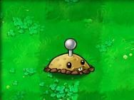 植物大战僵尸95版手机版最新版_wishdown.com 植物大战僵尸95版手机版最新版_wishdown.com