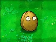 植物大战僵尸95版手机版最新版_wishdown.com 植物大战僵尸95版手机版最新版_wishdown.com