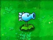 植物大战僵尸95版手机版最新版_wishdown.com 植物大战僵尸95版手机版最新版_wishdown.com