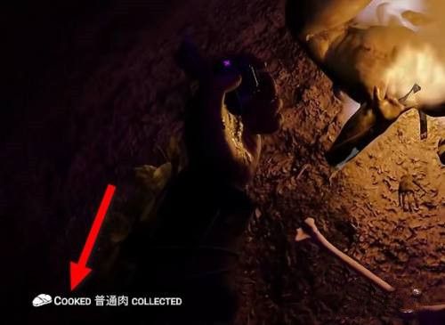 森林之子2025最新版_wishdown.com 森林之子2025最新版_wishdown.com