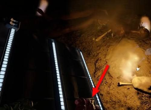 森林之子2025最新版_wishdown.com 森林之子2025最新版_wishdown.com