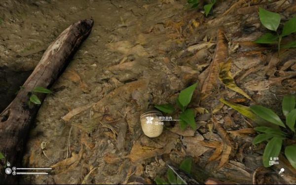 绿色地狱手机版最新版_wishdown.com 绿色地狱手机版最新版_wishdown.com