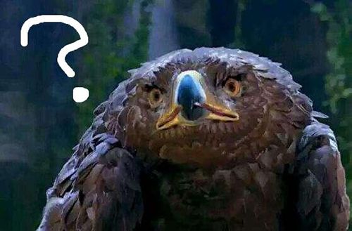 票房大卖王官方版_wishdown.com 票房大卖王官方版_wishdown.com