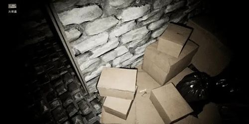 安抚Pacify手游最新版_wishdown.com 安抚Pacify手游最新版_wishdown.com