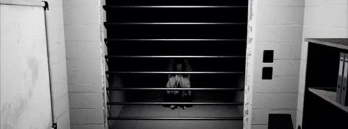 安抚Pacify手游最新版_wishdown.com 安抚Pacify手游最新版_wishdown.com