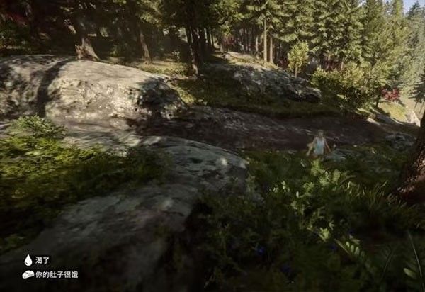 森林之子官方正版_wishdown.com 森林之子官方正版_wishdown.com