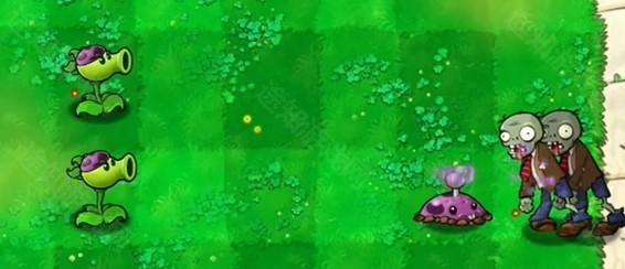 植物大战僵尸喵版手机最新版_wishdown.com 植物大战僵尸喵版手机最新版_wishdown.com