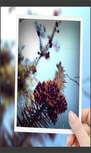 趣拍玩图照相机安卓版免费下载_wishdown.com 趣拍玩图照相机安卓版免费下载_wishdown.com