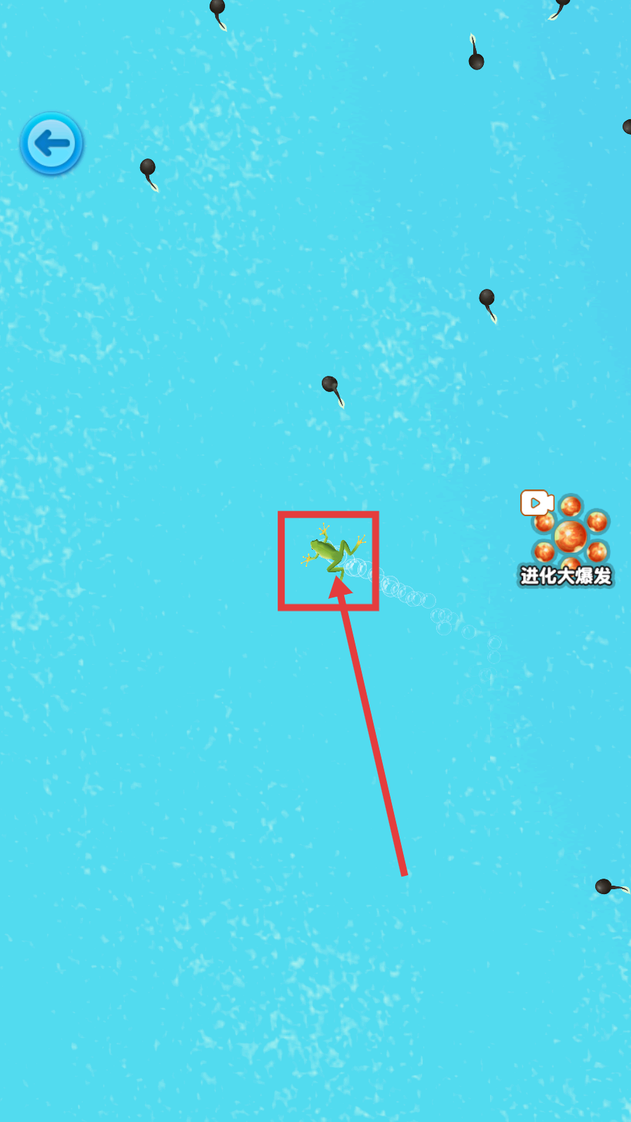 进击的蝌蚪无广告版下载v1.0_wishdown.com 进击的蝌蚪无广告版下载v1.0_wishdown.com