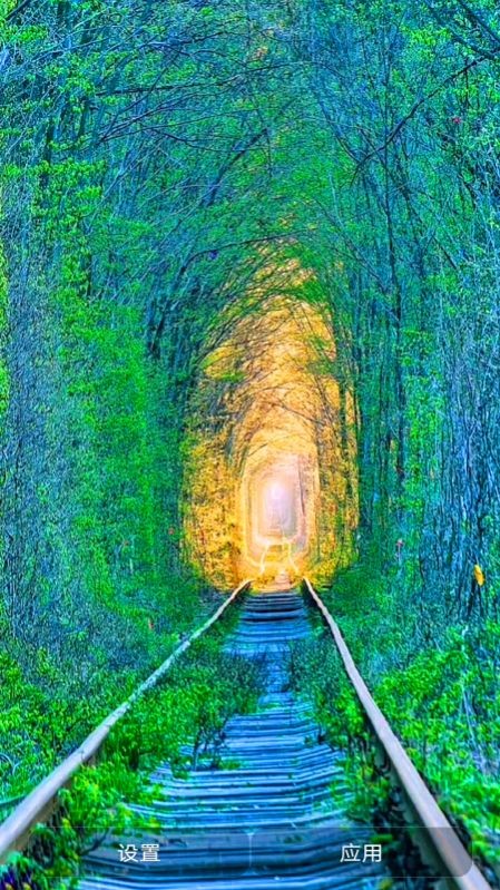 爱动态壁纸安卓版下载_wishdown.com 爱动态壁纸安卓版下载_wishdown.com