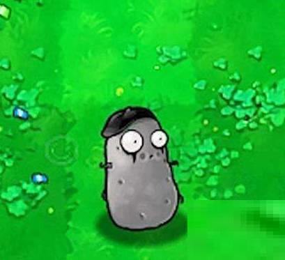 植物大战僵尸随机植物版安装包手机免费下载v1.1.9_wishdown.com 植物大战僵尸随机植物版安装包手机免费下载v1.1.9_wishdown.com