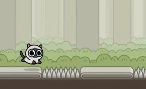 冒险猫最新安卓免费下载v2.0_wishdown.com 冒险猫最新安卓免费下载v2.0_wishdown.com