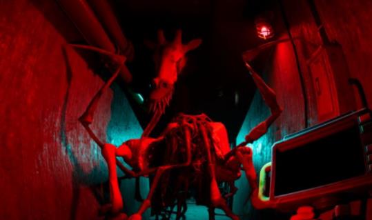 疯批动物园安卓最新版下载v4_wishdown.com 疯批动物园安卓最新版下载v4_wishdown.com