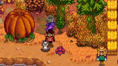 《星露谷物语》佳能暹罗猫MOD_wishdown.com 《星露谷物语》佳能暹罗猫MOD_wishdown.com